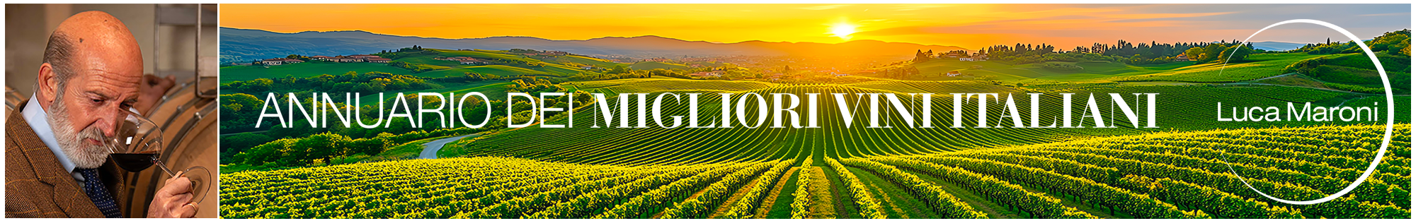 Annuario dei Migliori Vini Italiani - Luca Maroni